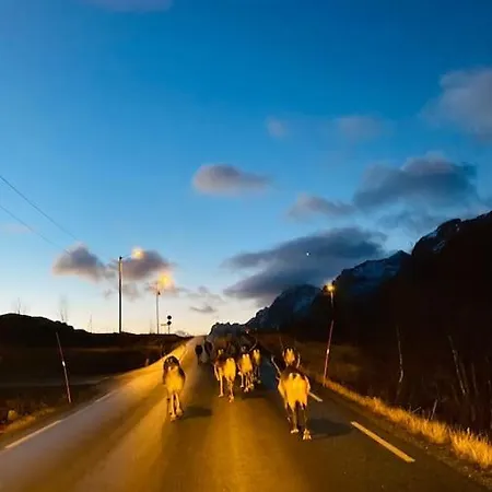 Fantastic View - Quiet And Relaxing By The Sea Kvaloya