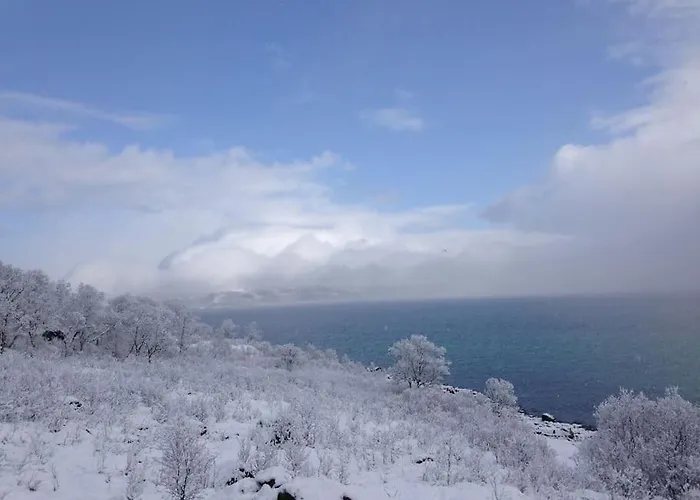 Hébergement de vacances Fantastic View - Quiet And Relaxing By The Sea *